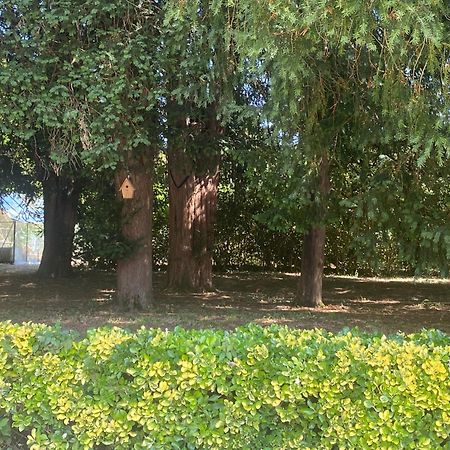 Carignan-de-Bordeaux Domaine De La Mouleyre A Cenac Proche Bordeauxヴィラ エクステリア 写真